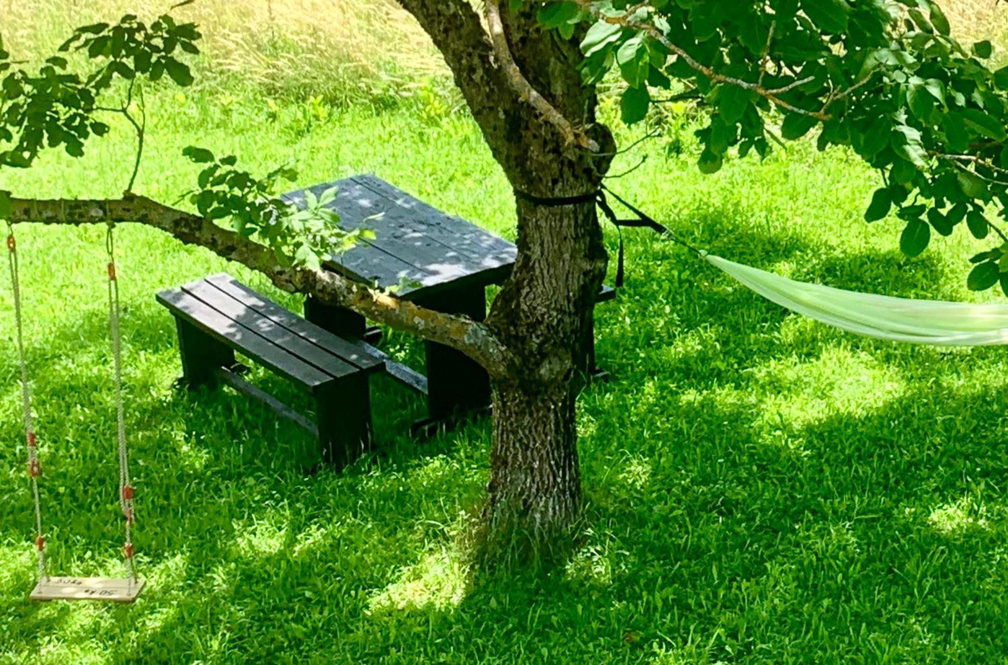 רקוביצה Wildernest Holiday Home מראה חיצוני תמונה